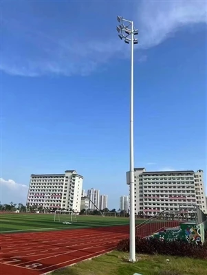 The Foundation Of Reliability: How To Distinguish High-Quality Solar Street L...