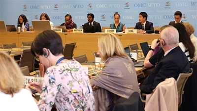 WTO To Review U.S. Tax Credits Under Inflation Reduction Act Following China'...