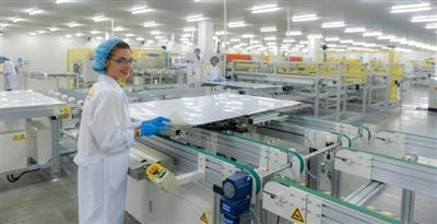 A German Photovoltaic Company's Bankruptcy Proceedings Have Failed