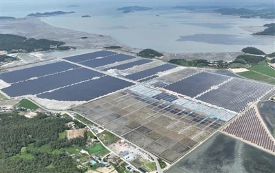 South Korea Launches 1GW Solar Tender With Stricter Carbon Standards And Lowe...