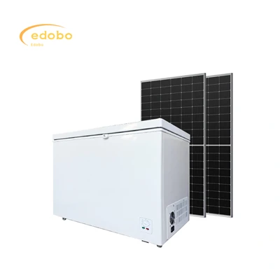DC Solar Fridge VS Regular Household Fridge: Key Differences