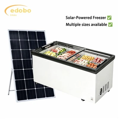 Why Choose a Solar-Powered Glass Door Freezer for Your Retail Business?